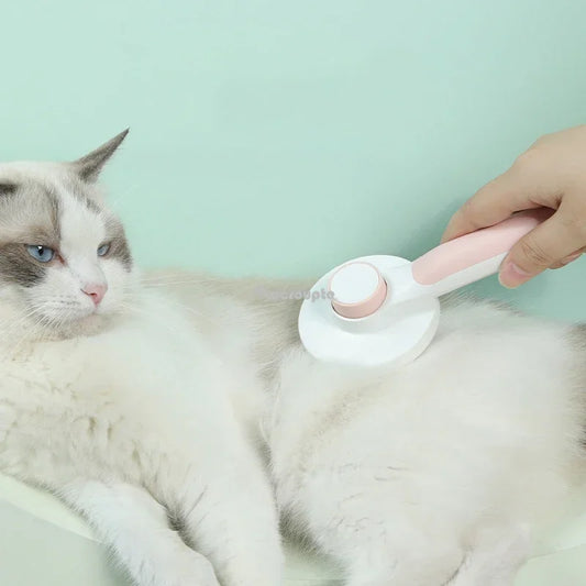 PetBrush – Der sanfte Kamm, der mehr entfernt als nur lose Haare.